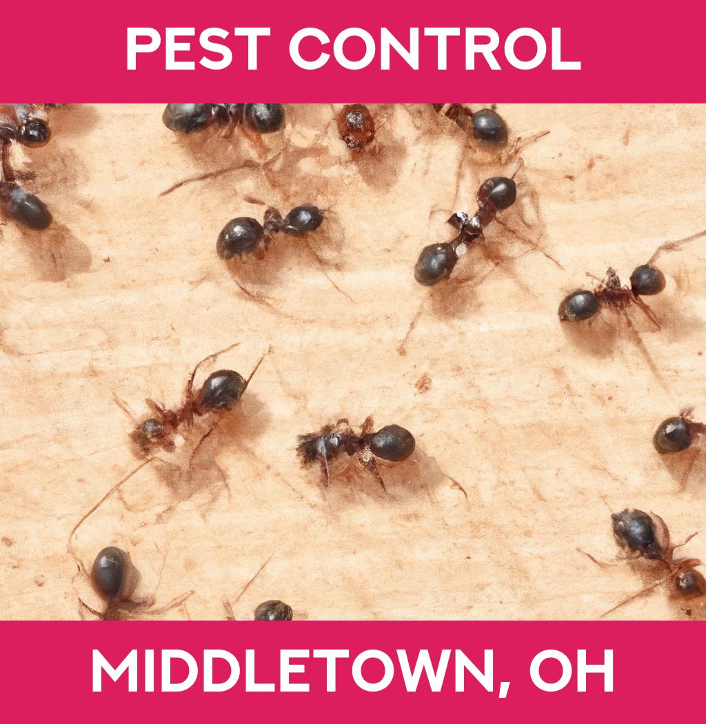 pest control in Middletown Ohio