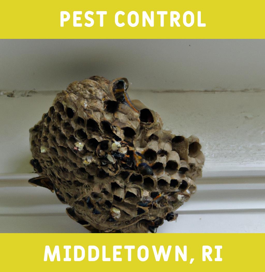 pest control in Middletown Rhode Island