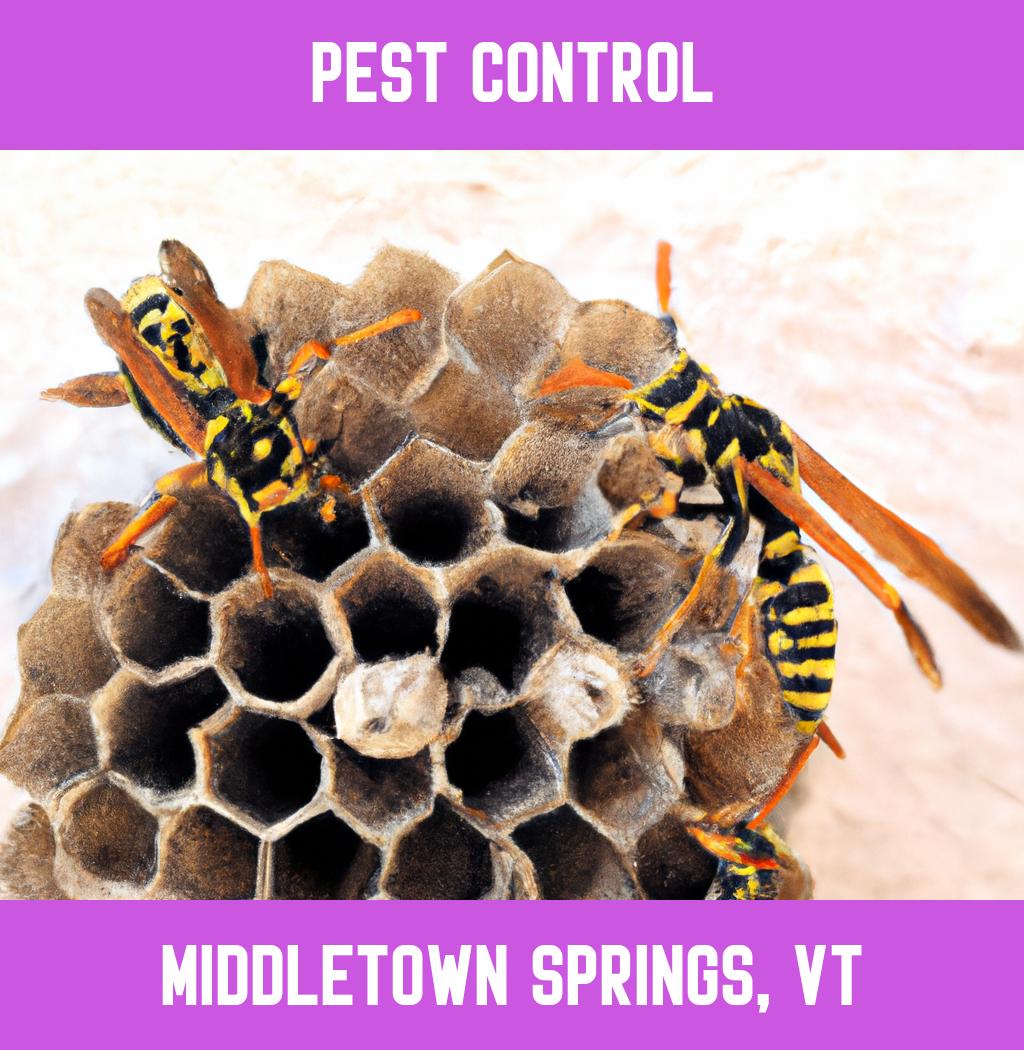 pest control in Middletown Springs Vermont