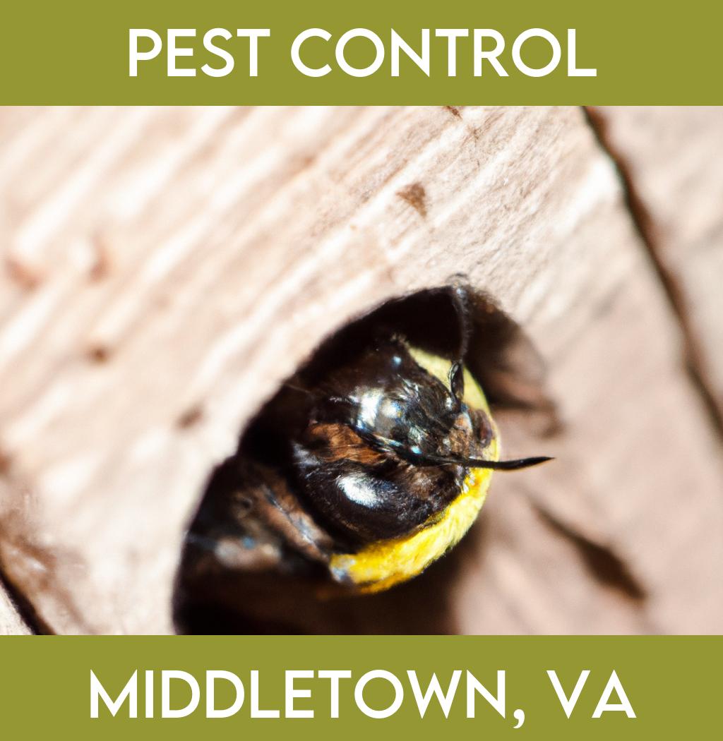 pest control in Middletown Virginia