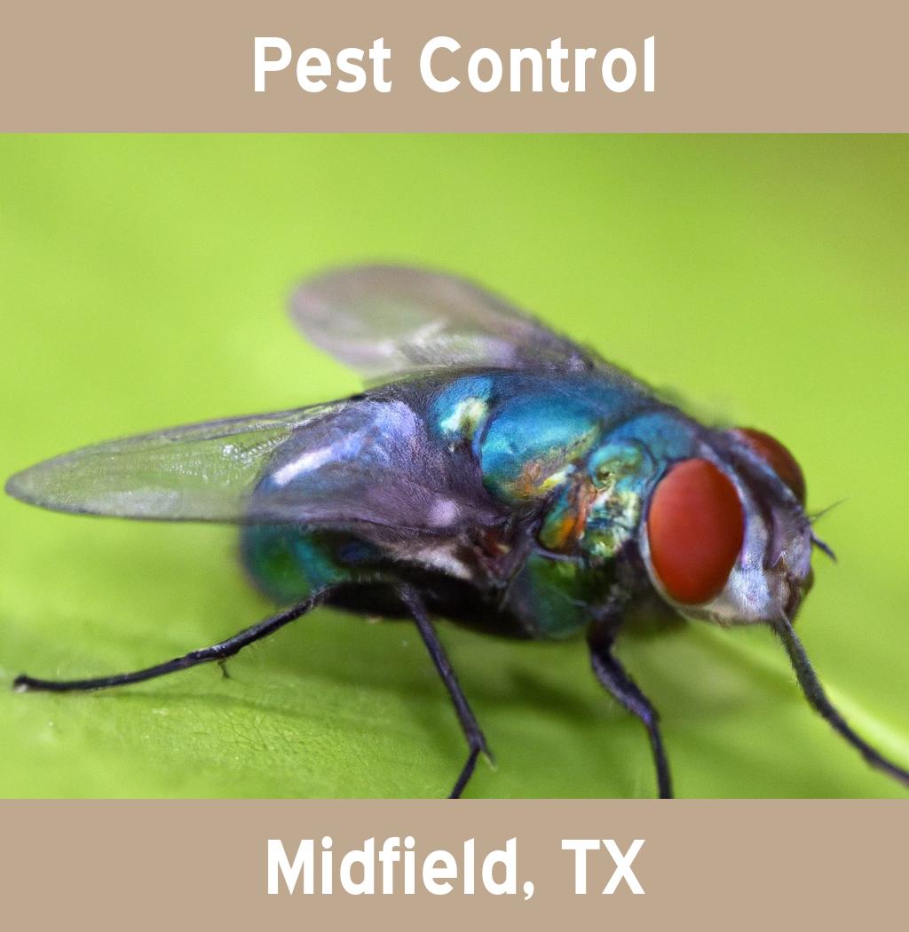 pest control in Midfield Texas