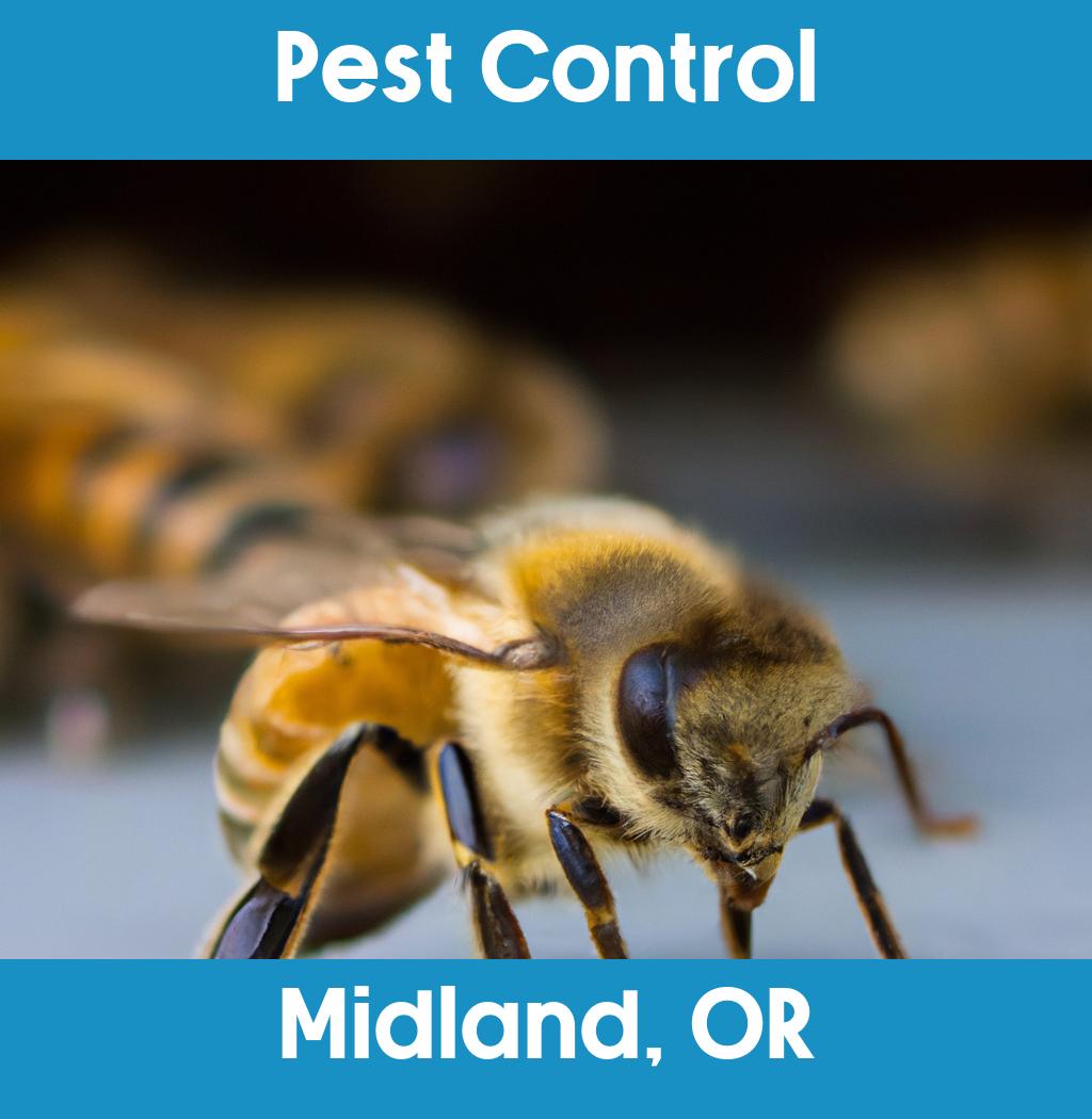 pest control in Midland Oregon