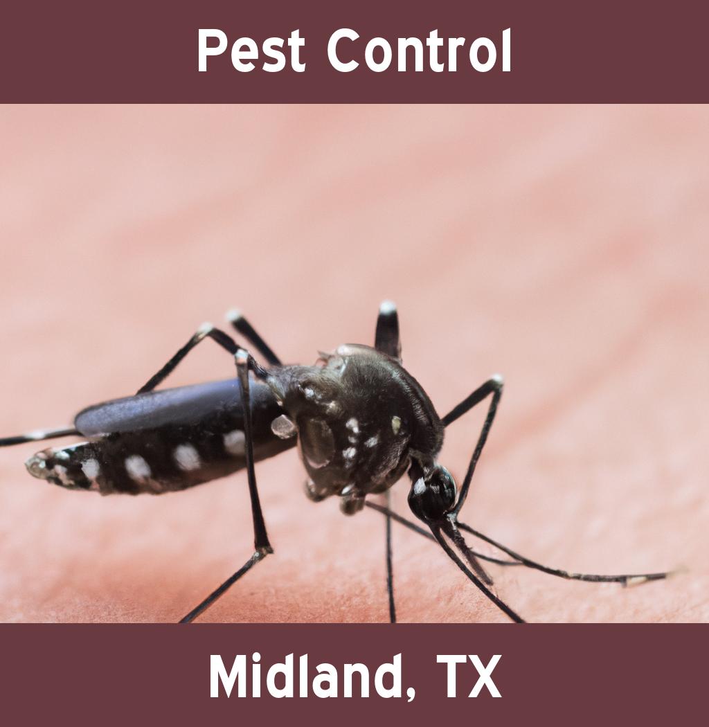 pest control in Midland Texas