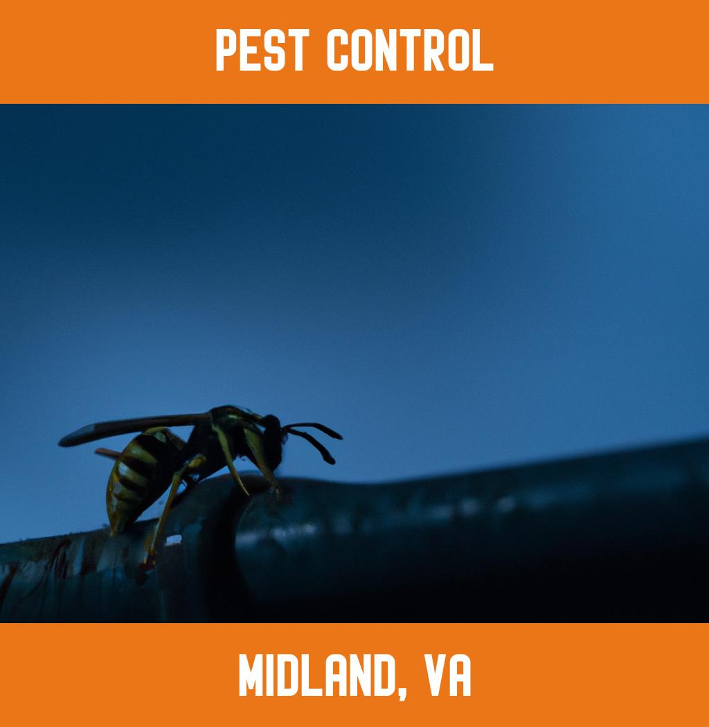 pest control in Midland Virginia