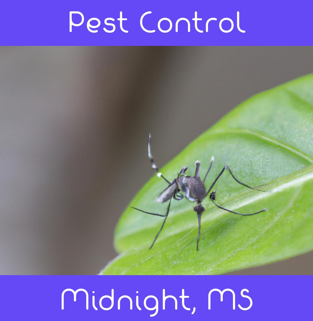 pest control in Midnight Mississippi