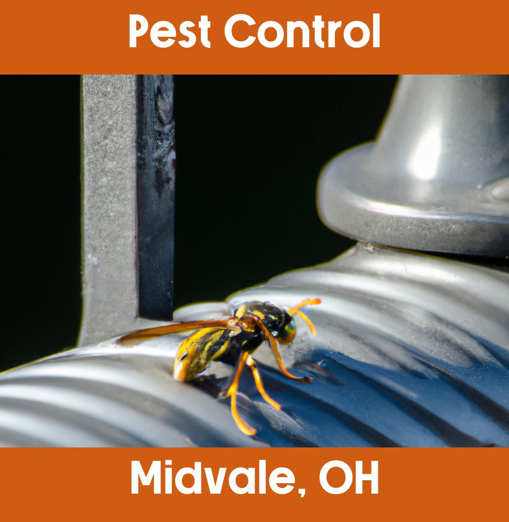 pest control in Midvale Ohio