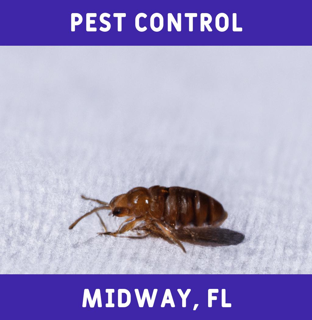 pest control in Midway Florida