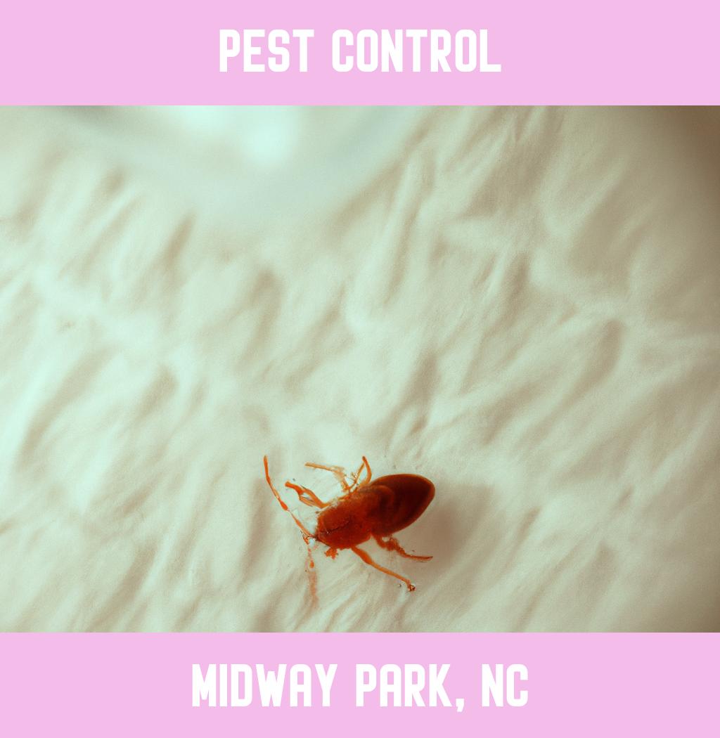 pest control in Midway Park North Carolina