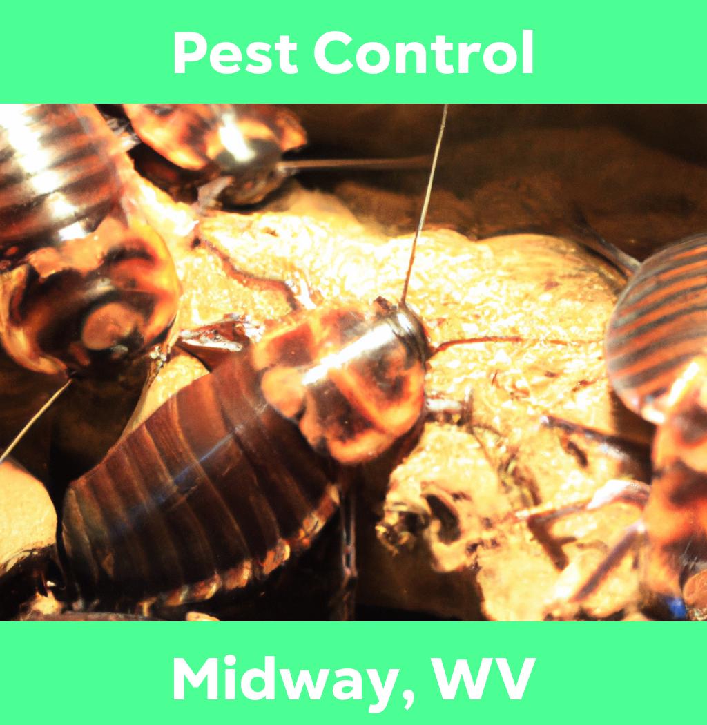 pest control in Midway West Virginia