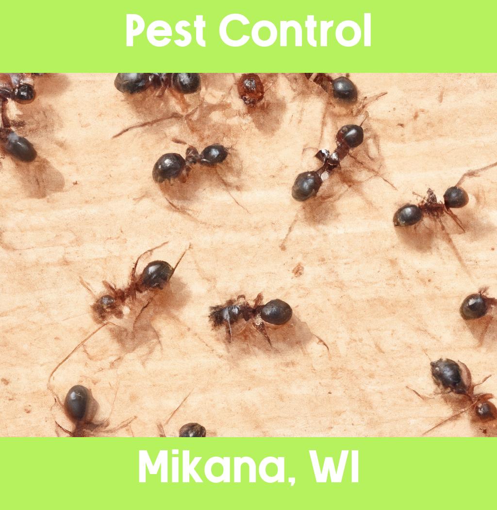 pest control in Mikana Wisconsin