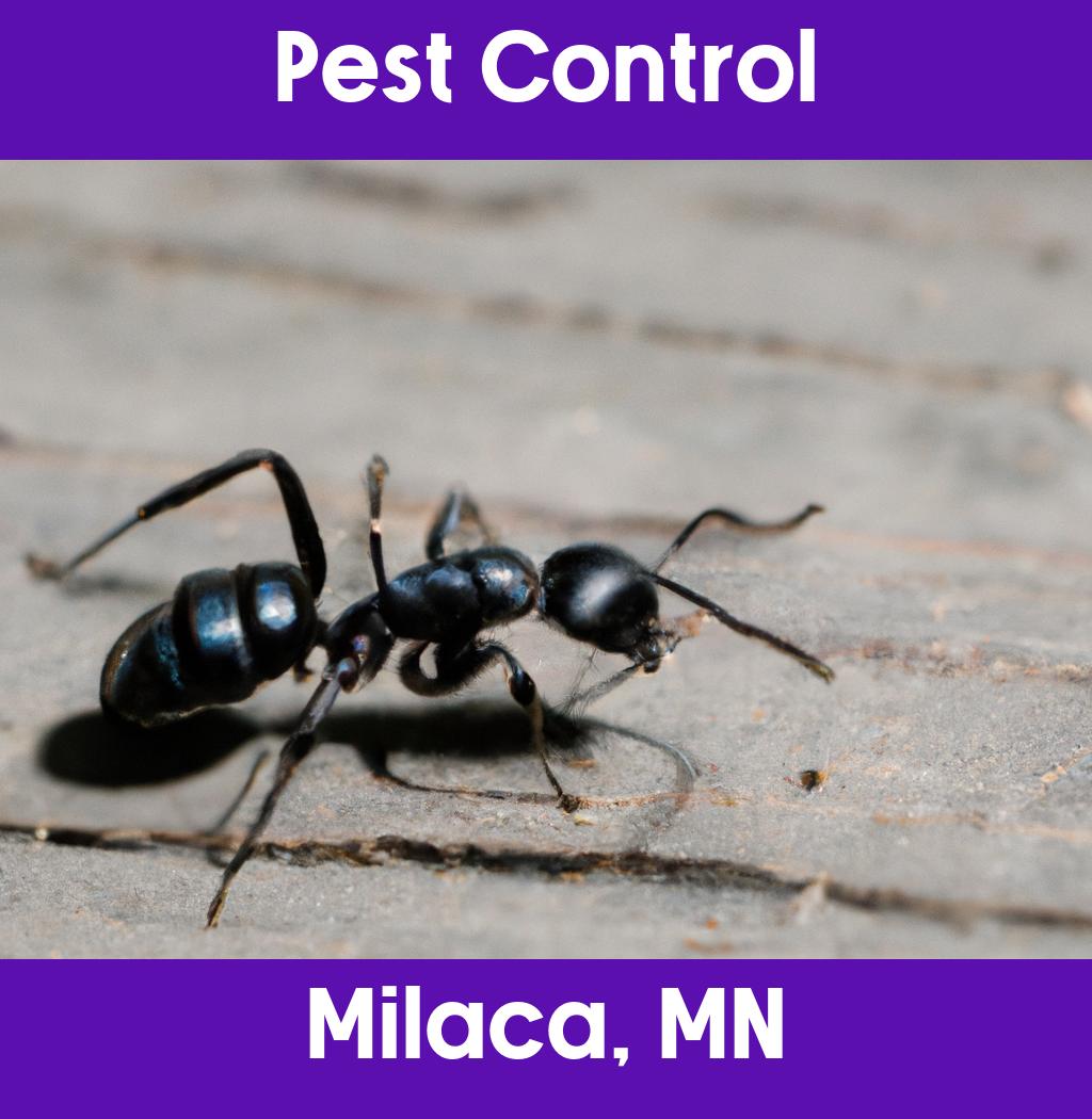 pest control in Milaca Minnesota