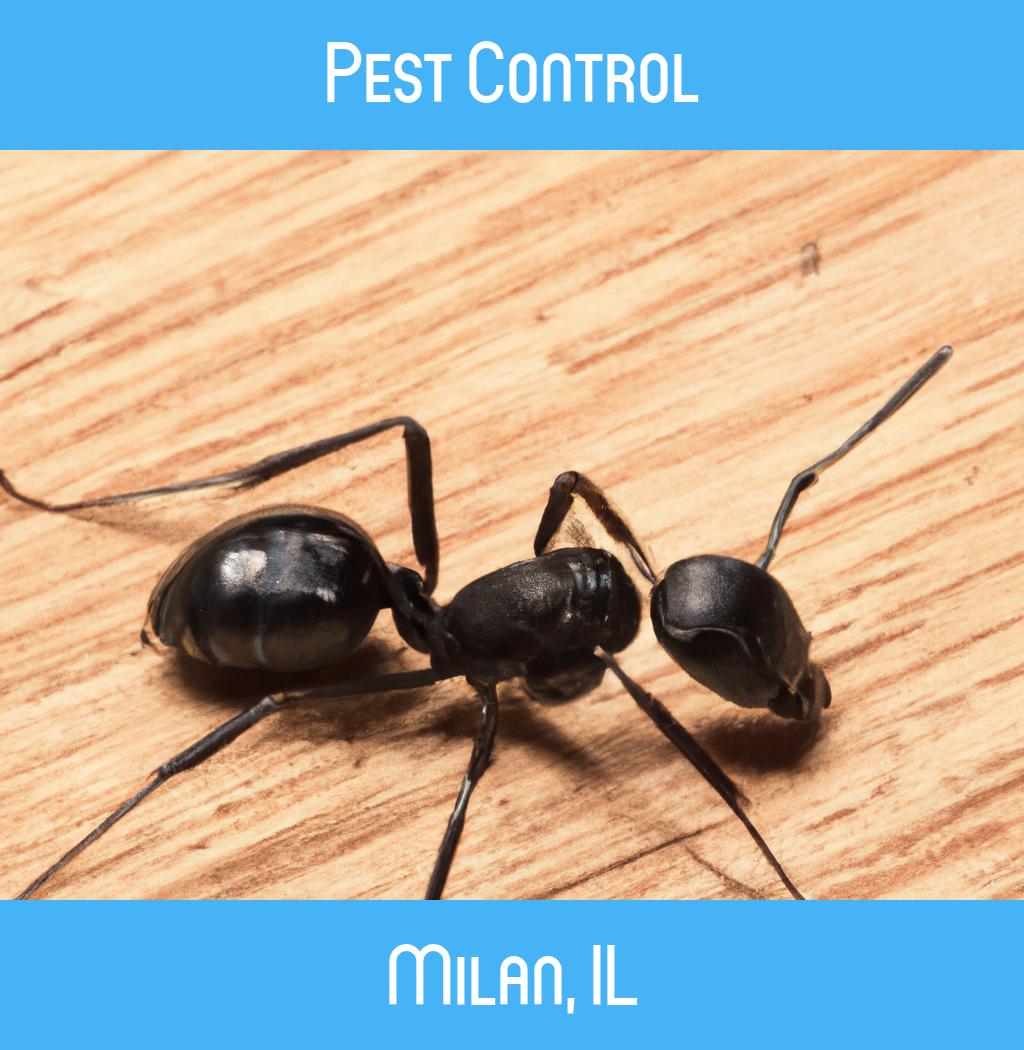 pest control in Milan Illinois