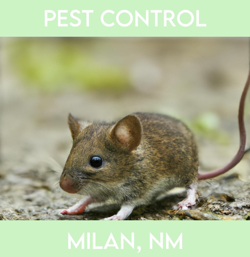 pest control in Milan New Mexico