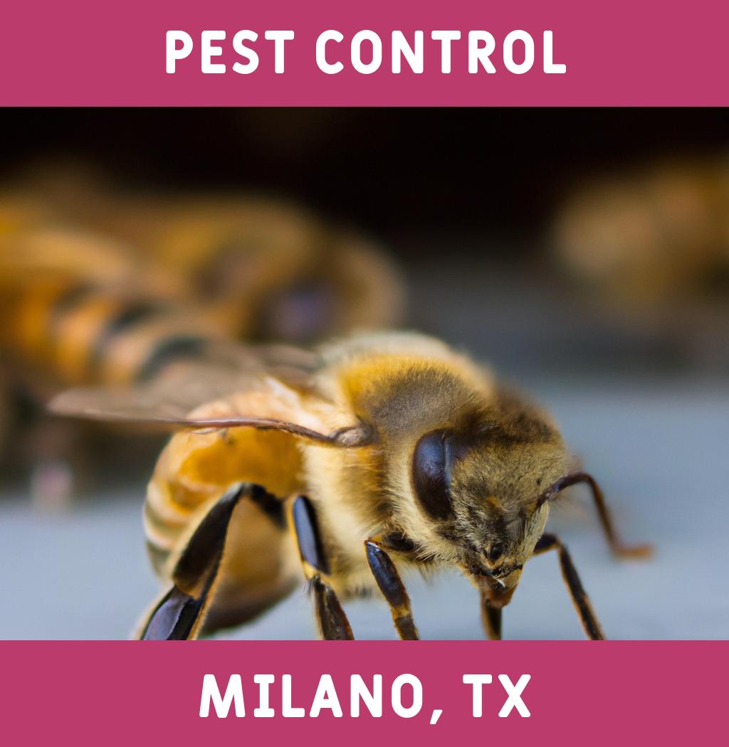 pest control in Milano Texas