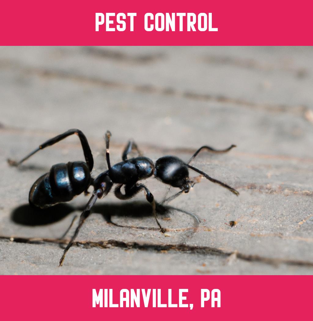 pest control in Milanville Pennsylvania