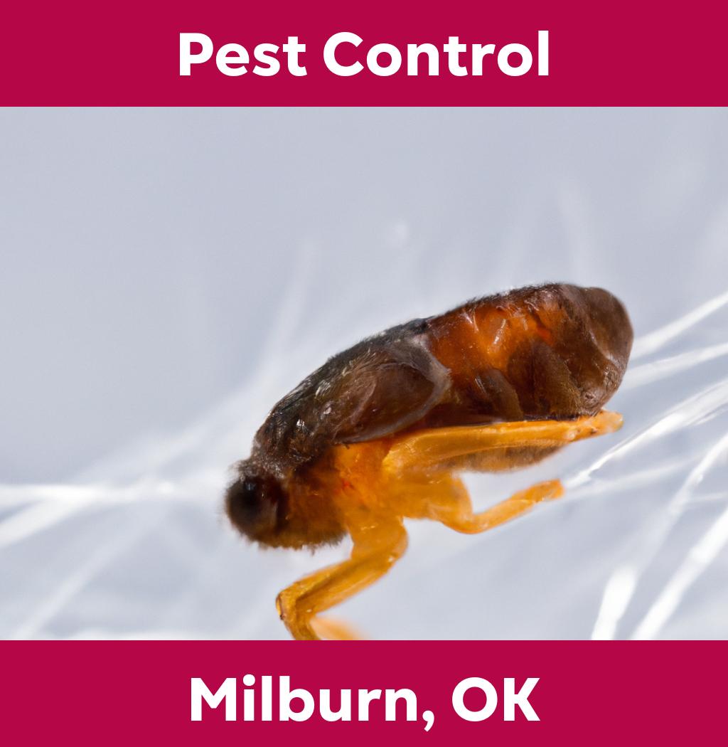 pest control in Milburn Oklahoma