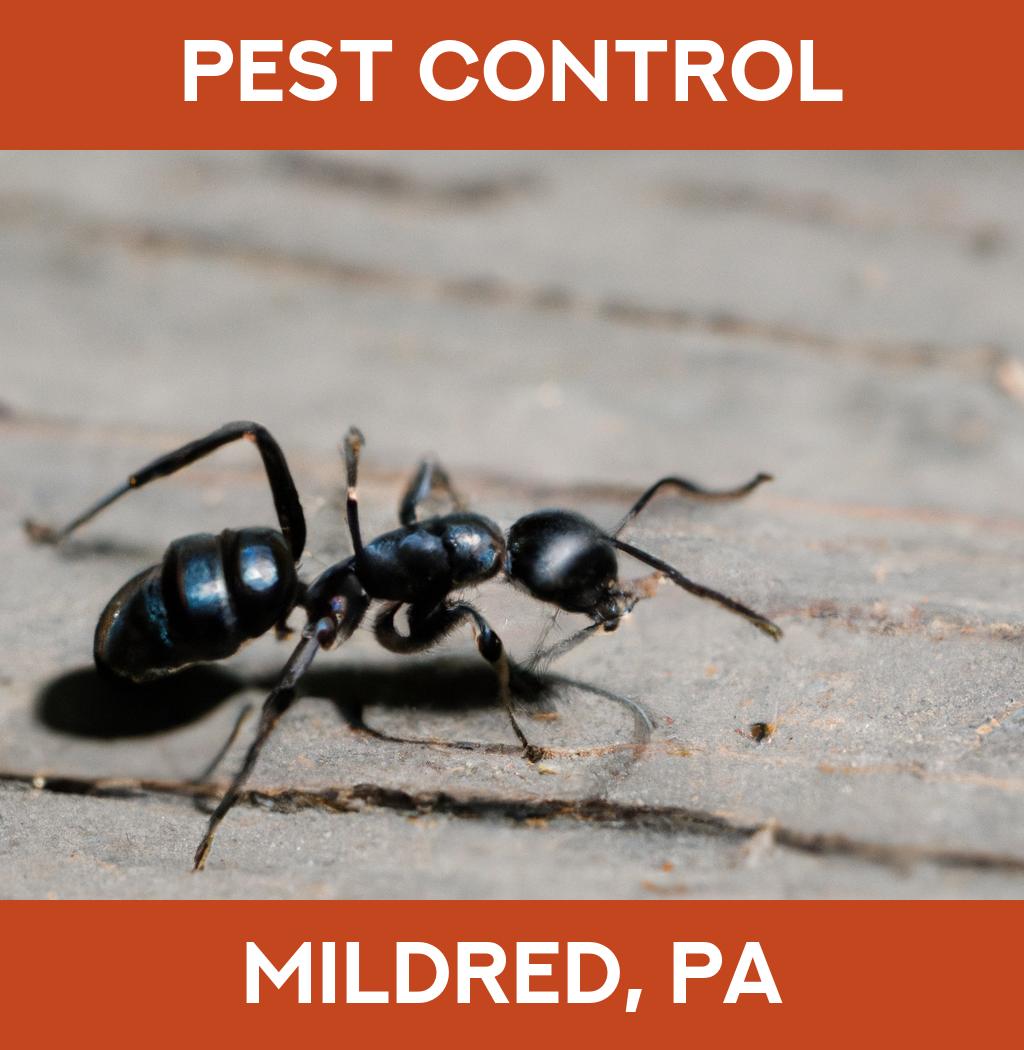 pest control in Mildred Pennsylvania