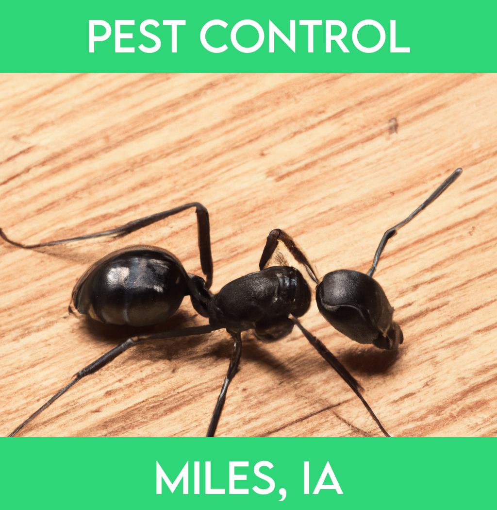 pest control in Miles Iowa