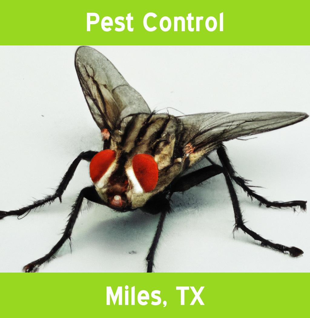 pest control in Miles Texas