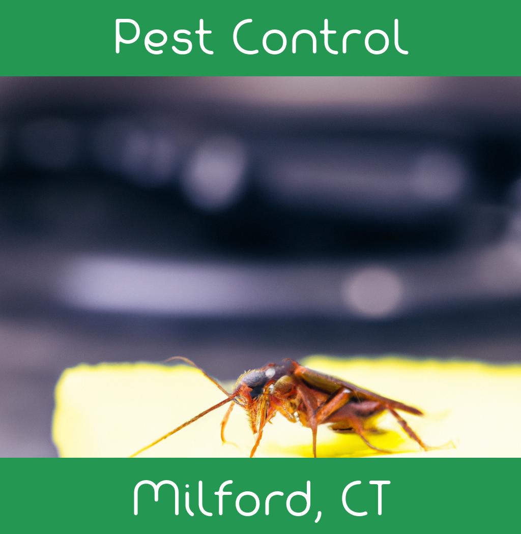 pest control in Milford Connecticut