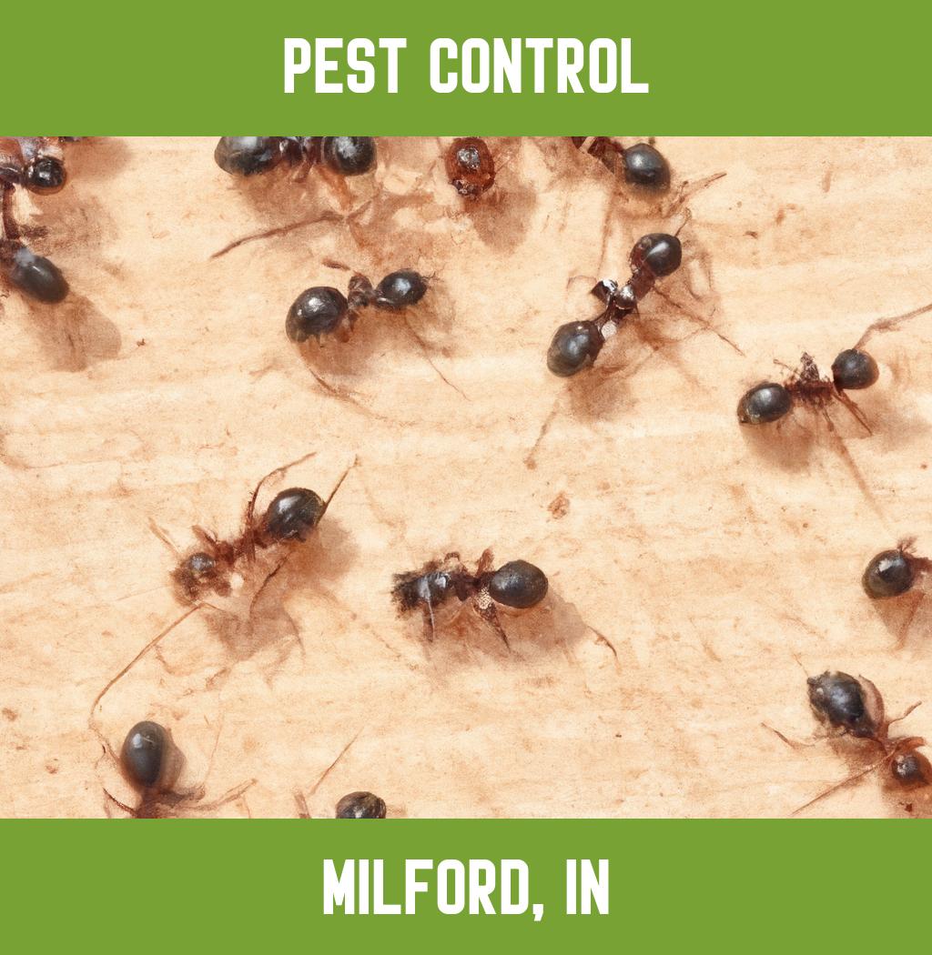 pest control in Milford Indiana