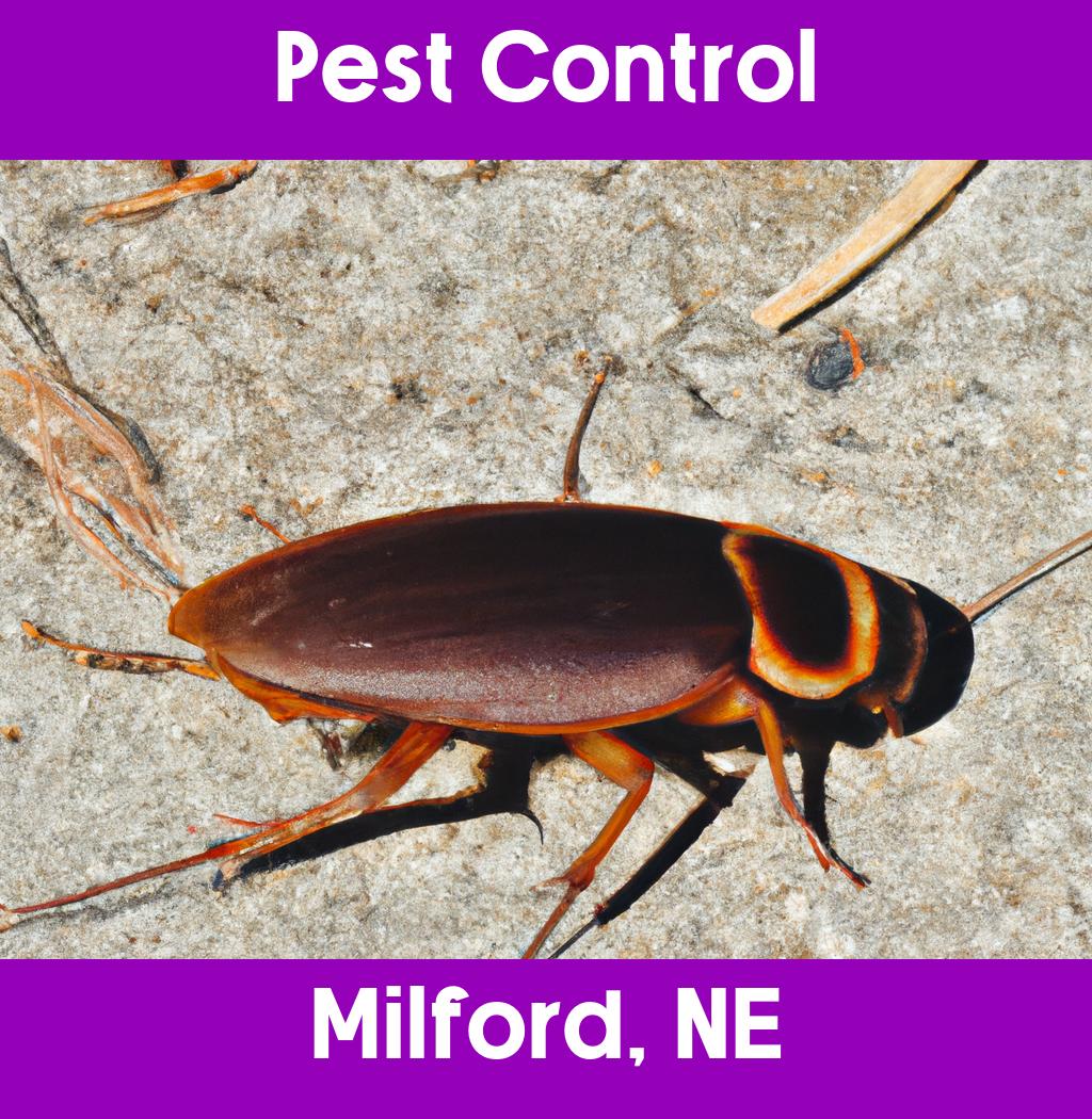 pest control in Milford Nebraska