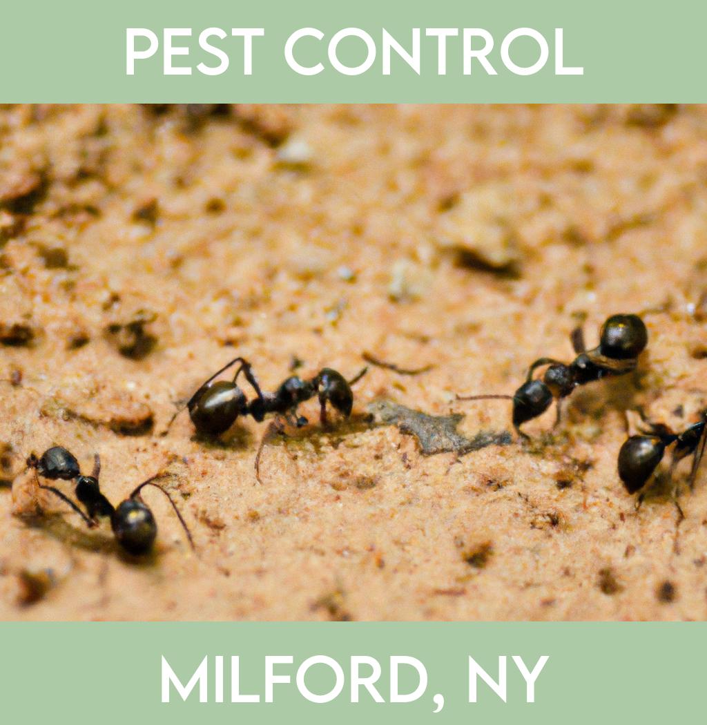 pest control in Milford New York
