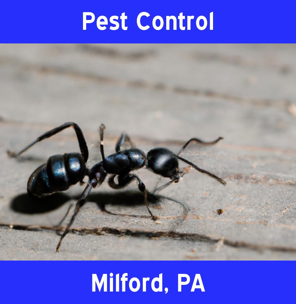 pest control in Milford Pennsylvania