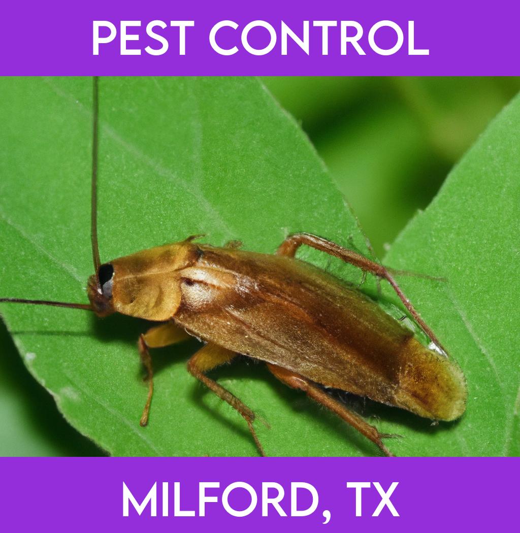 pest control in Milford Texas