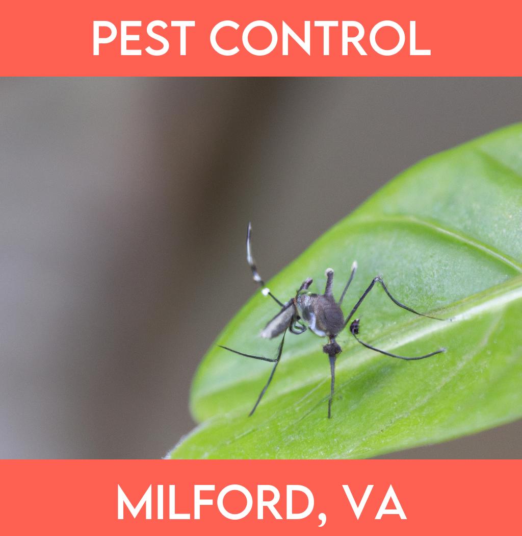 pest control in Milford Virginia