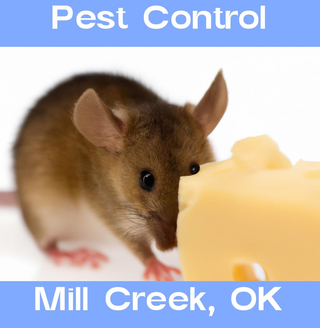 pest control in Mill Creek Oklahoma