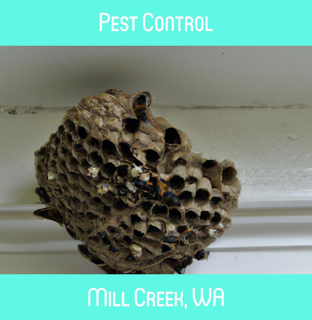 pest control in Mill Creek Washington