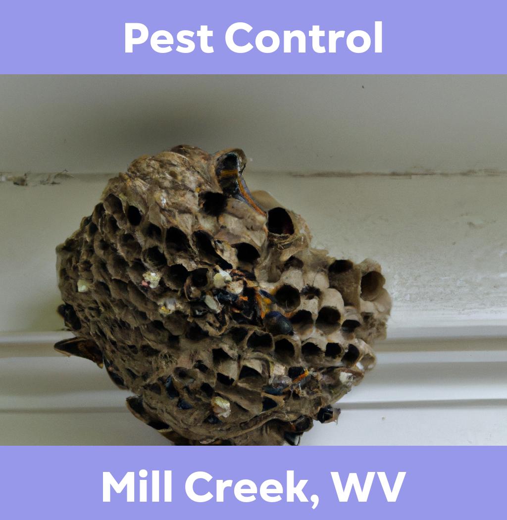 pest control in Mill Creek West Virginia