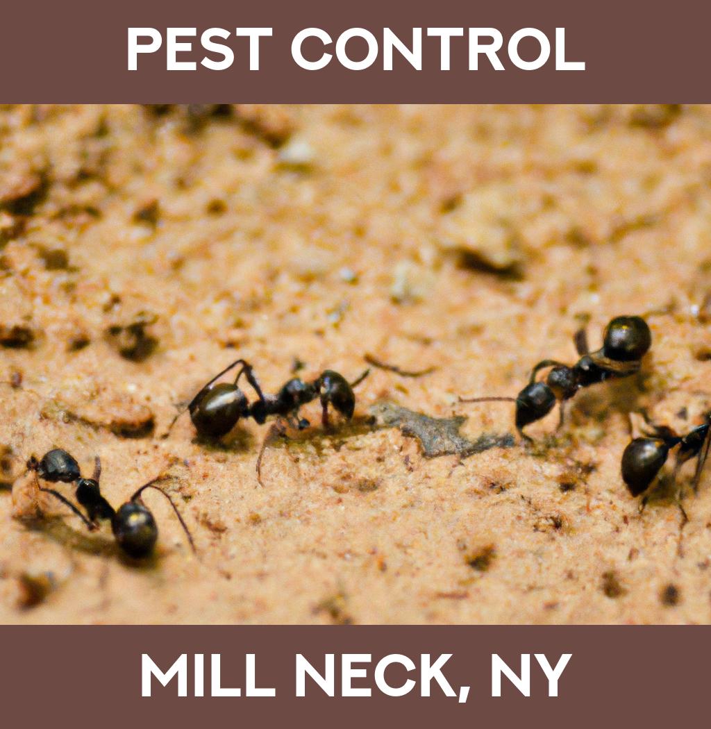 pest control in Mill Neck New York
