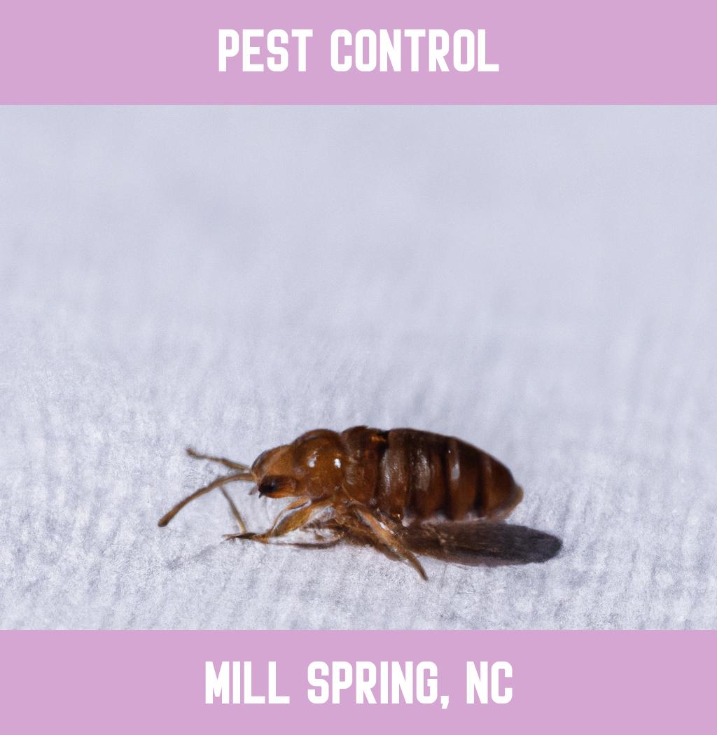 pest control in Mill Spring North Carolina