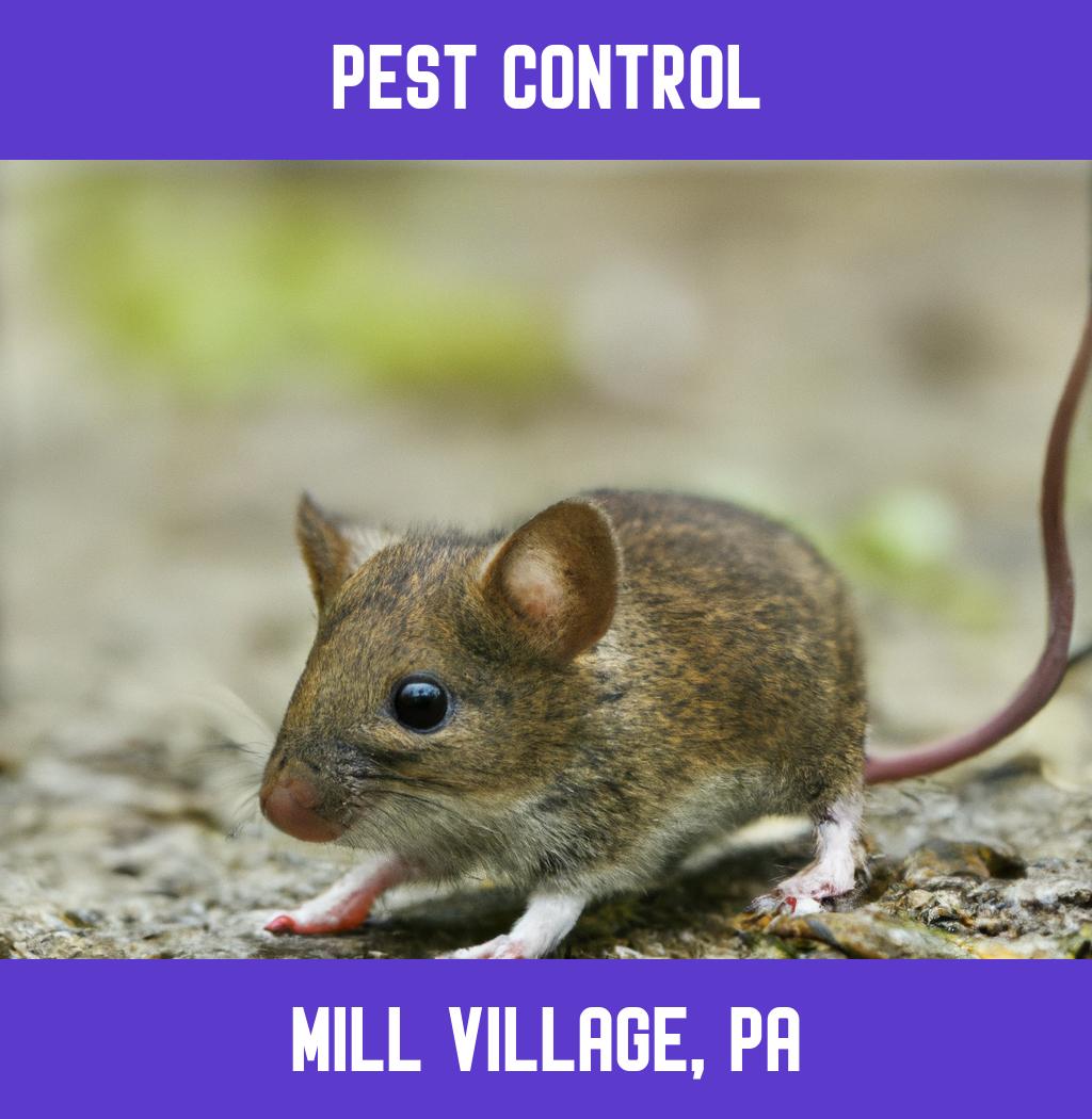 pest control in Mill Village Pennsylvania