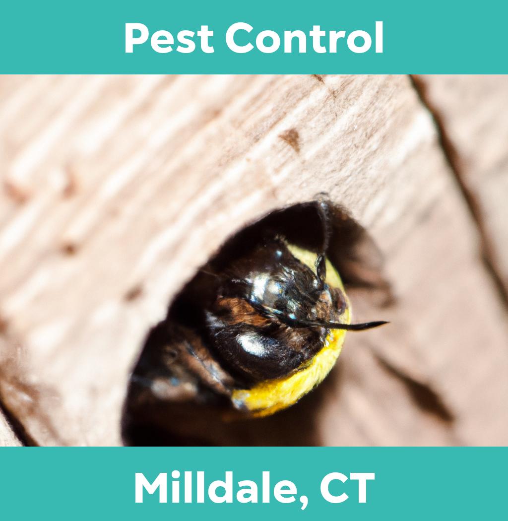 pest control in Milldale Connecticut
