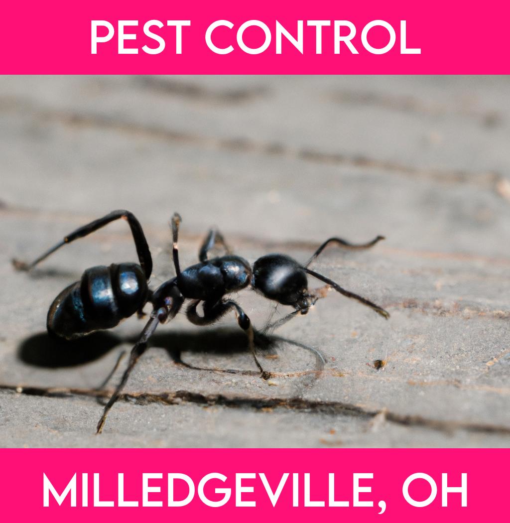 pest control in Milledgeville Ohio