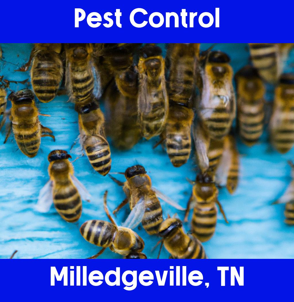 pest control in Milledgeville Tennessee
