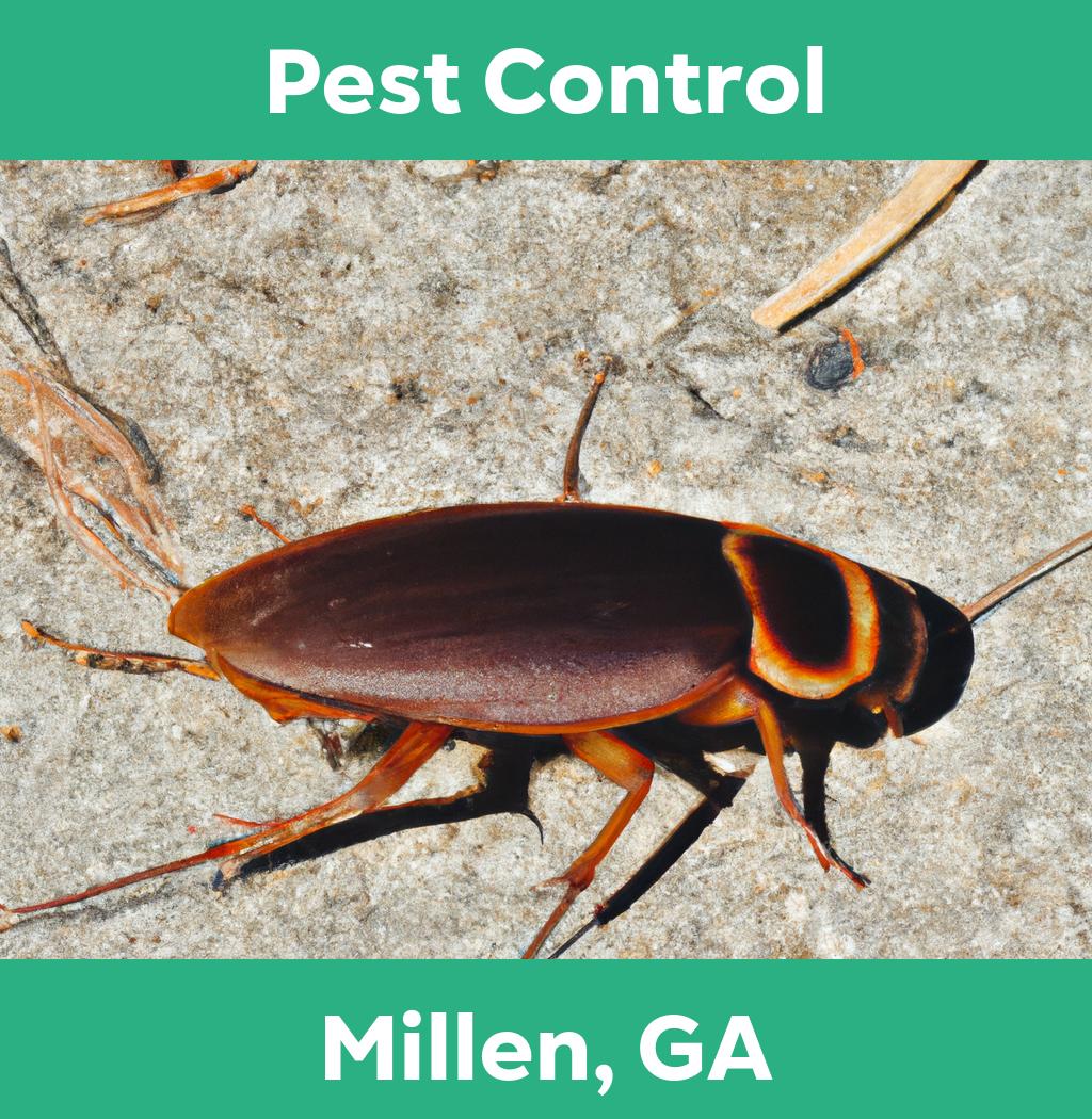 pest control in Millen Georgia