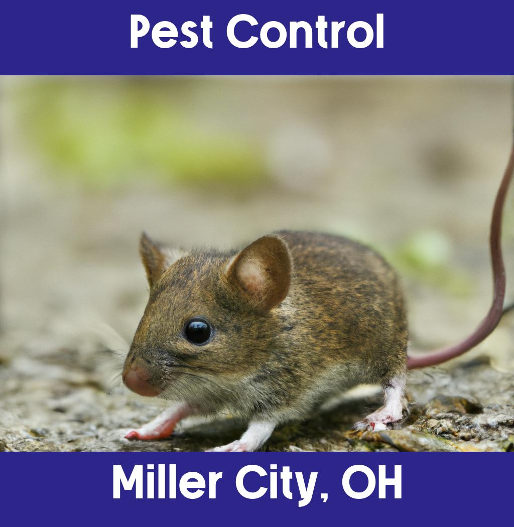 pest control in Miller City Ohio