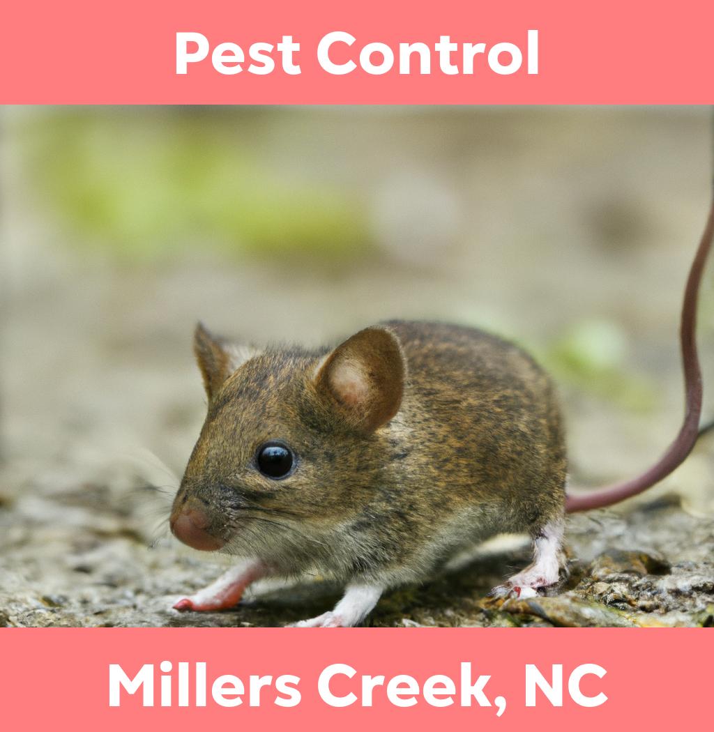 pest control in Millers Creek North Carolina