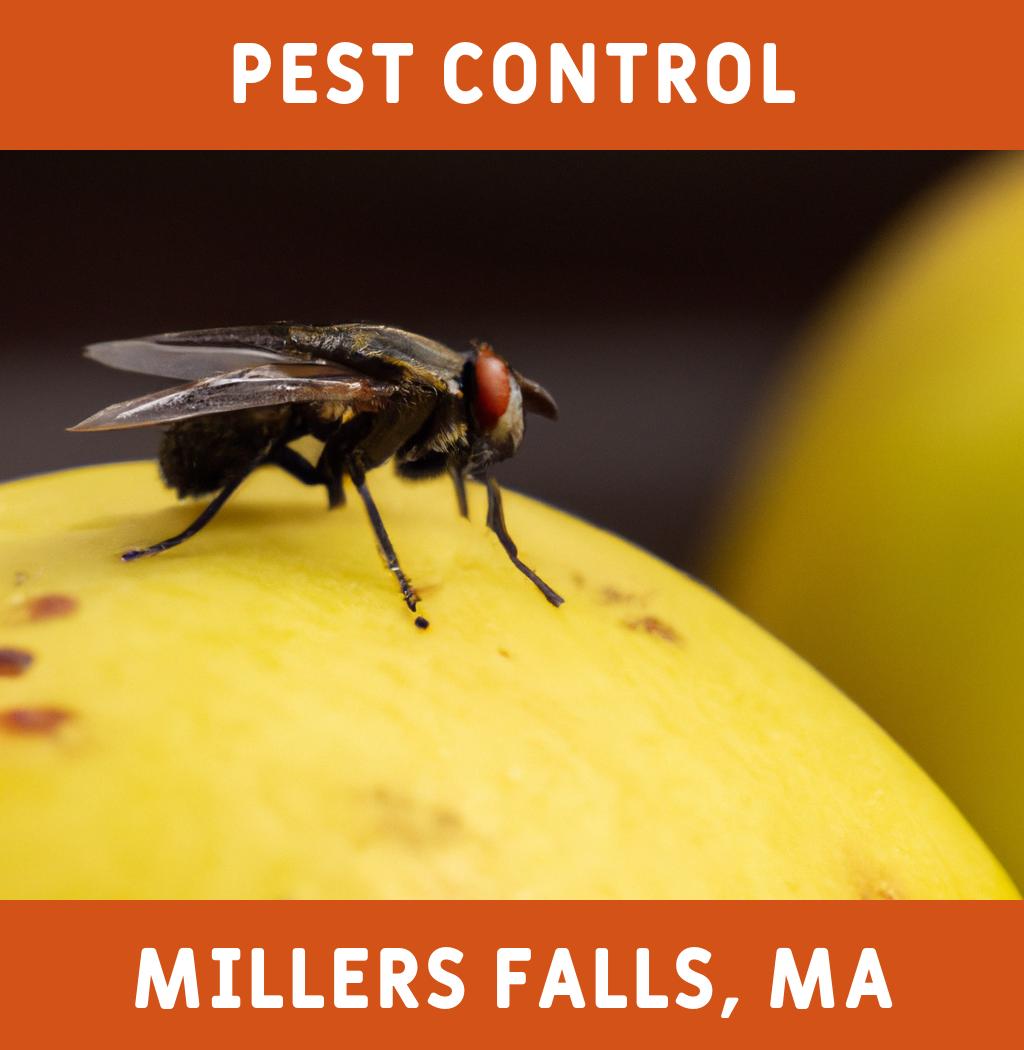 pest control in Millers Falls Massachusetts