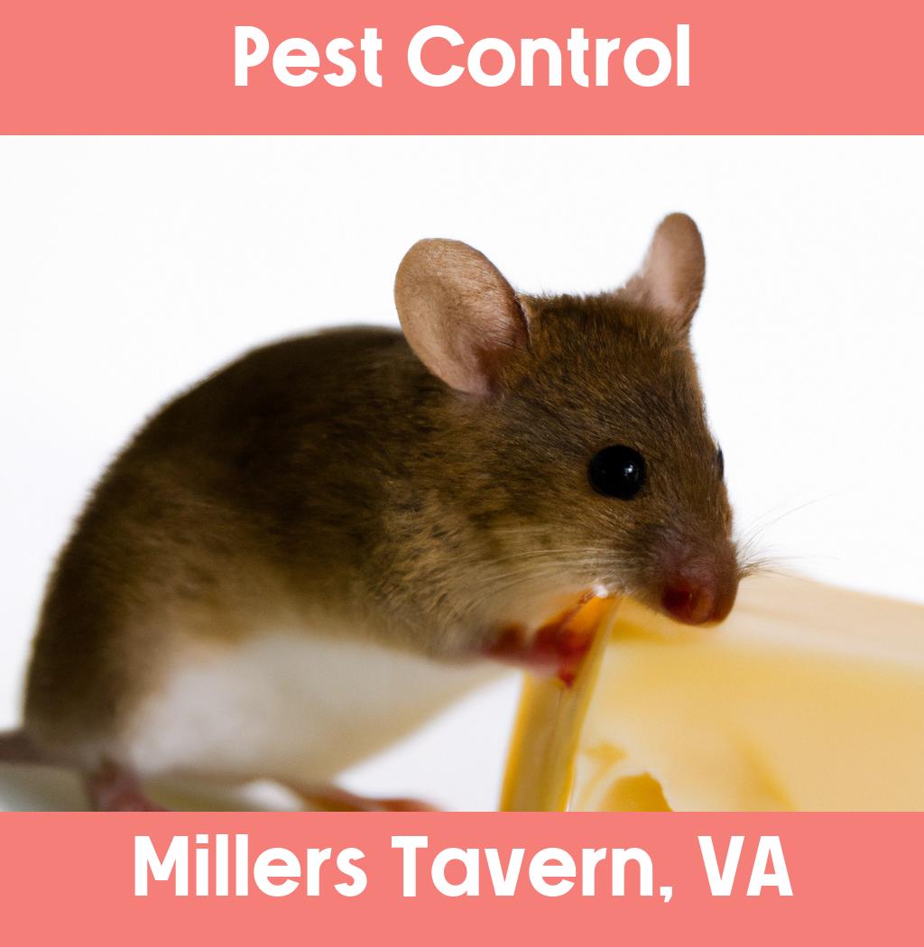 pest control in Millers Tavern Virginia