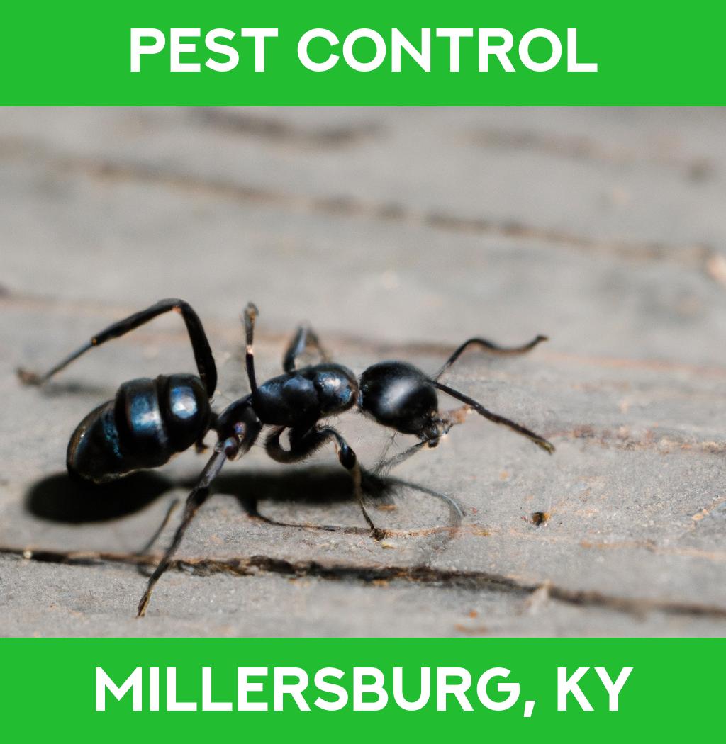 pest control in Millersburg Kentucky