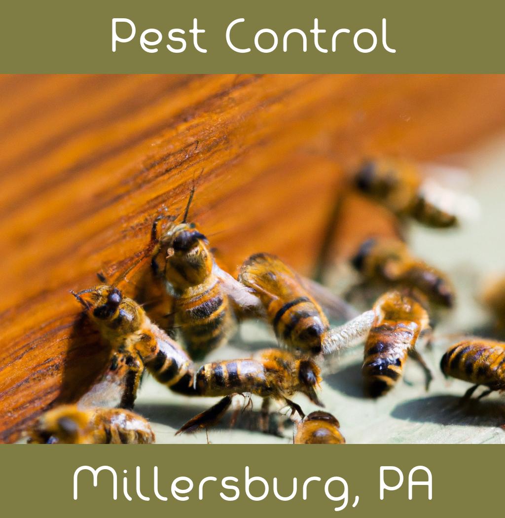 pest control in Millersburg Pennsylvania