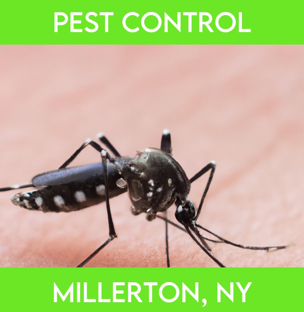 pest control in Millerton New York