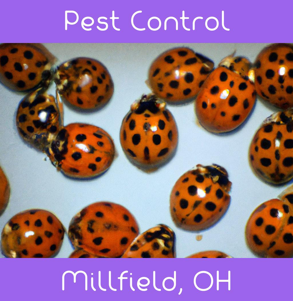 pest control in Millfield Ohio