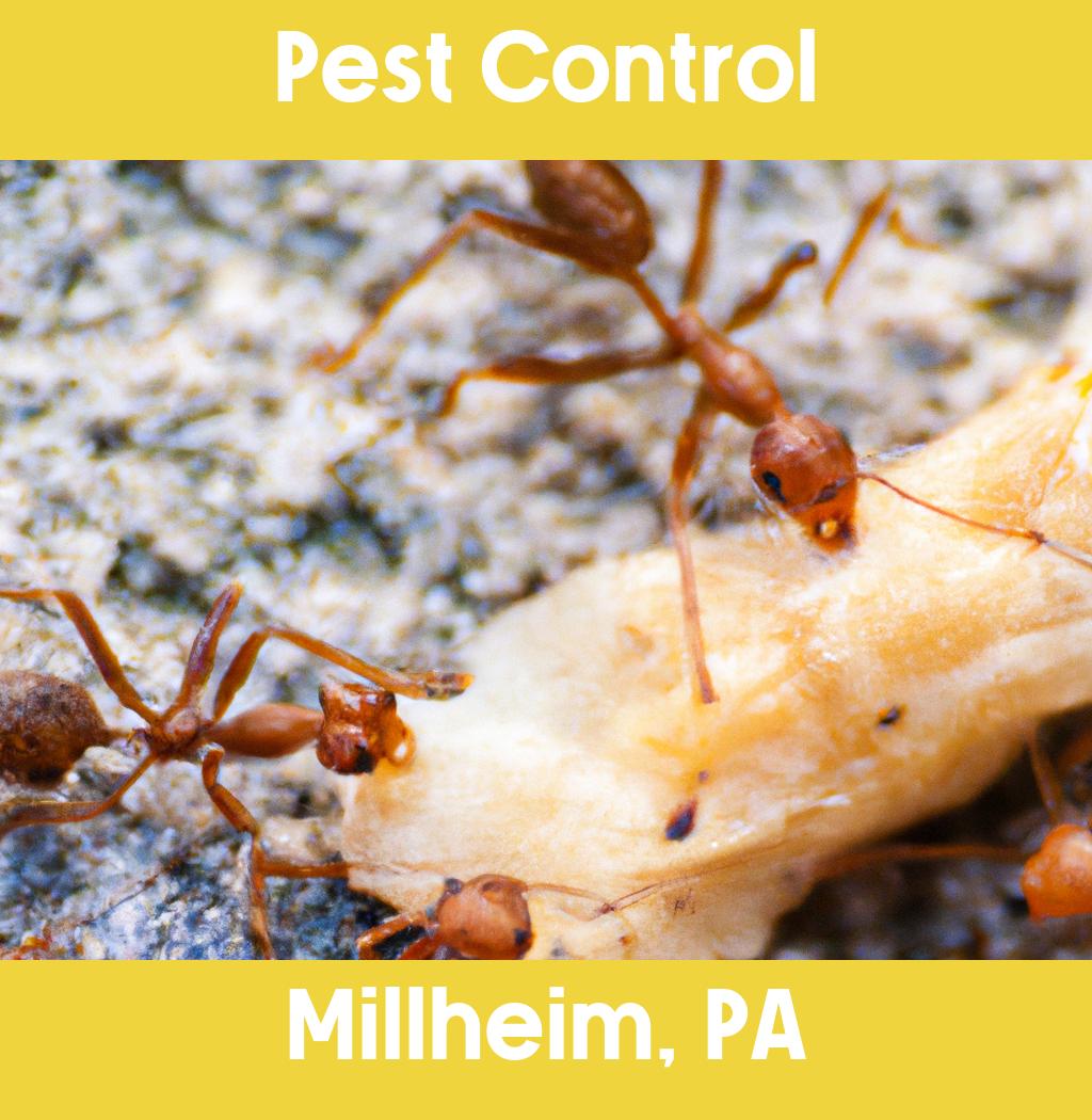 pest control in Millheim Pennsylvania