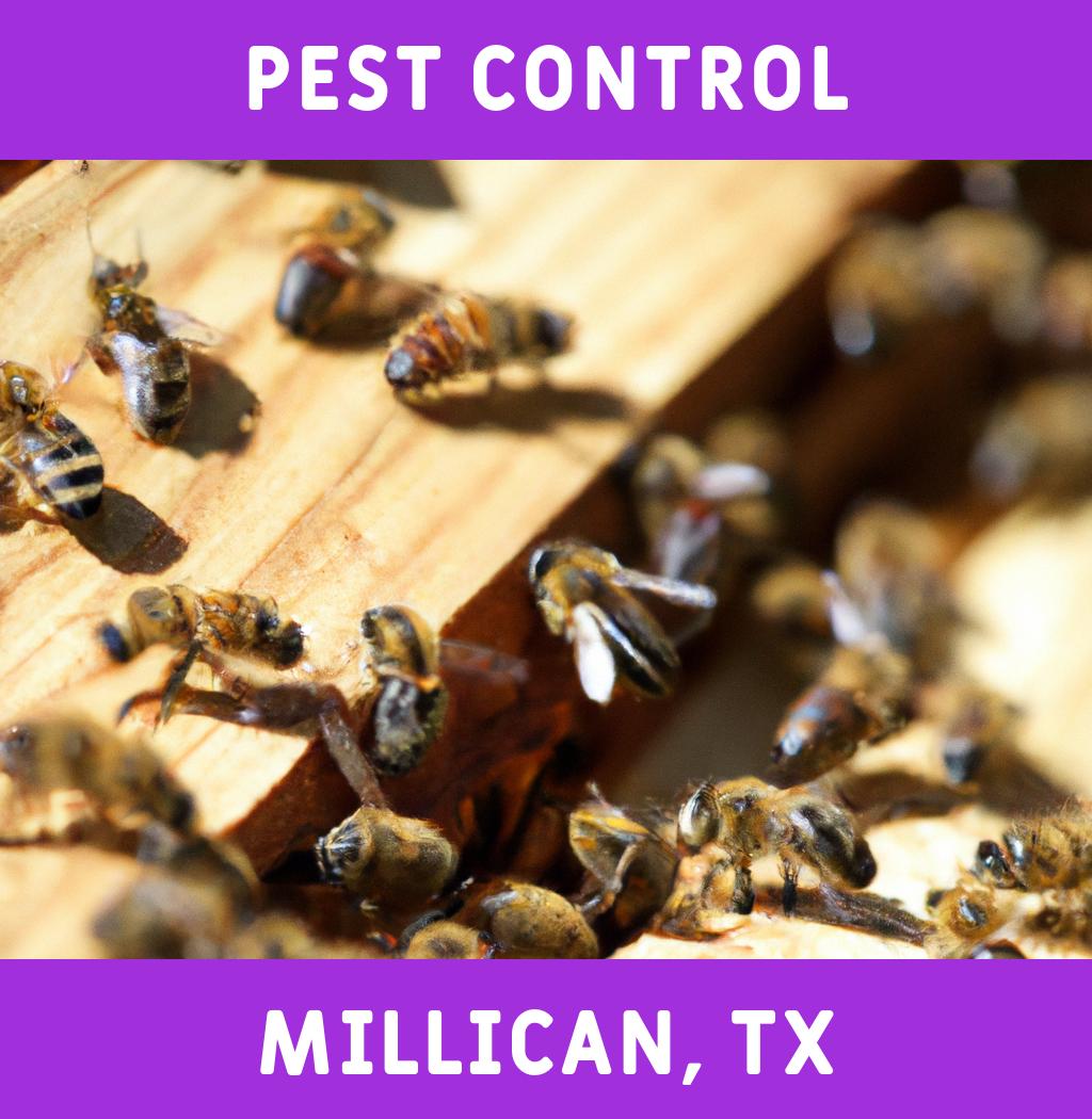 pest control in Millican Texas